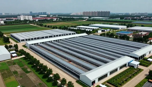 区域经济下地区应用开发的实践路径与创新方向